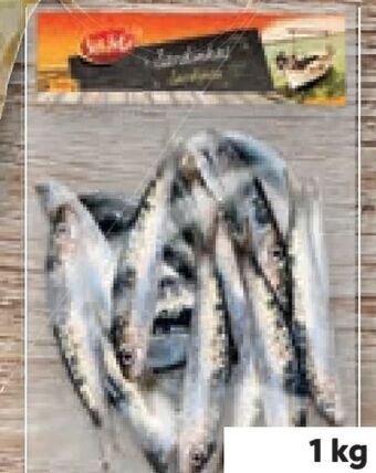 Lidl Sardinen Angebot