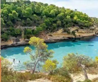 Lidl Spanien mallorca Angebot