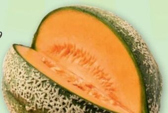 PENNY Zuckermelone Angebot