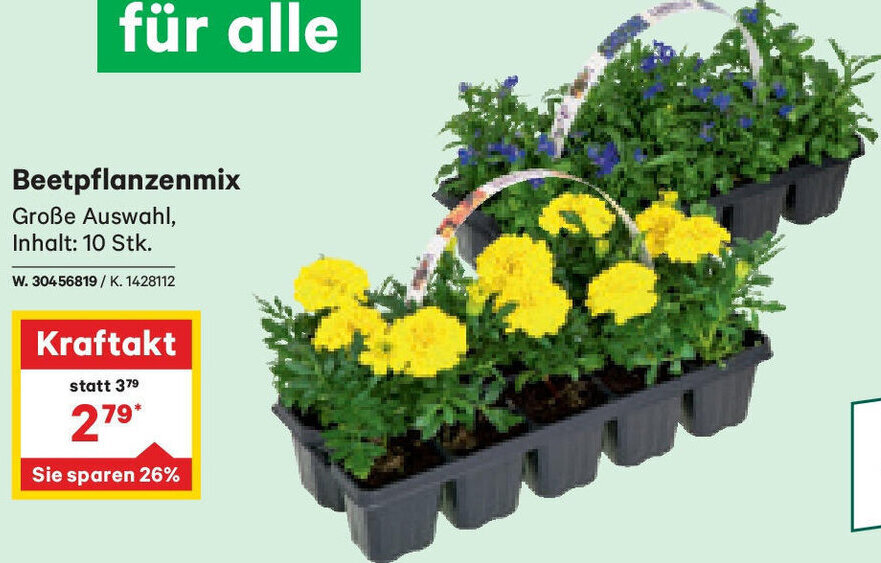 Lagerhaus Beetpflanzenmix Große Auswahl, Inhalt: 10 Stk. Angebot