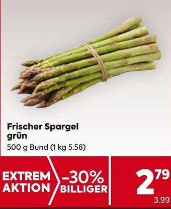 Billa Frischer Spargel grün 500 g Bund Angebot