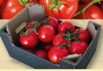 Norma Premium rispentomaten albrice Angebot