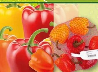 Norma Paprika sweet mix Angebot