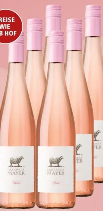 Interspar Rose Angebot