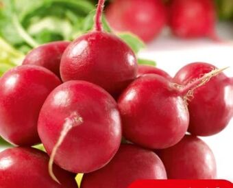 Spar Radieschen Angebot