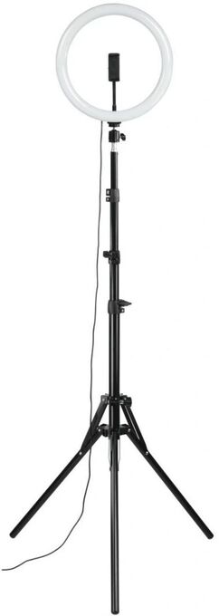 Red Zac Led-ringleuchte spotlight steady 120 set Angebot