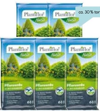 Hellweg Pflanzerde Angebot