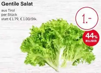 MPreis Gentile Salat aus Tirol per Stück Angebot