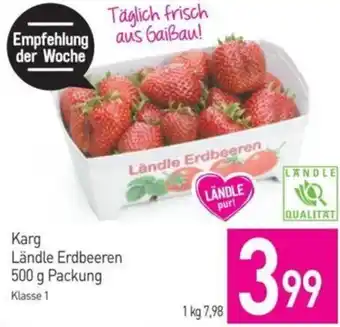 Sutterlüty Karg Ländle Erdbeeren 500 g Packung Angebot