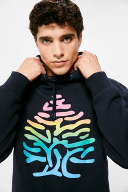 Springfield Ombré logo hoodie Angebot