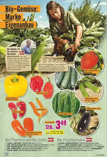 Hornbach Bio-Paprikas, Bio-Chilis, und Bio-Fruchtgemüse Stk. Angebot