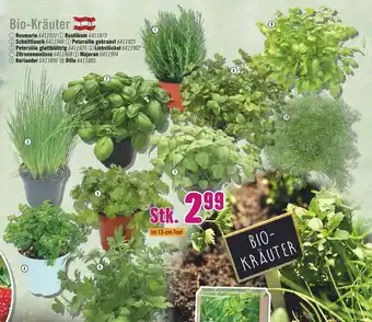 Hornbach Bio-Kräuter Stk. Angebot