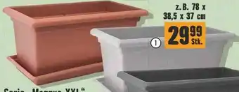 Hornbach Serie ,,Magnus XXL" Blumenkasten 78 x 38,5 x 37 cm Angebot