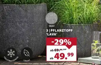 Dehner PFLANZTOPF 'LAVA' Angebot