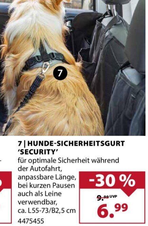 Dehner 7| HUNDE-SICHERHEITSGURT 'SECURITY' Angebot