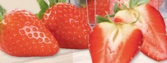 Maximarkt Erdbeeren Angebot