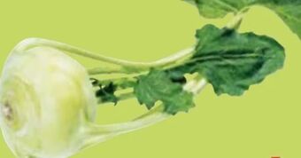 Maximarkt Kohlrabi Angebot