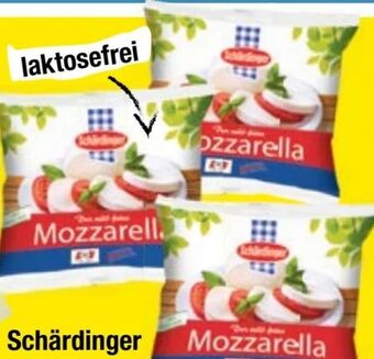 Maximarkt Mozzarella Angebot