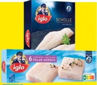 Maximarkt Scholle Angebot