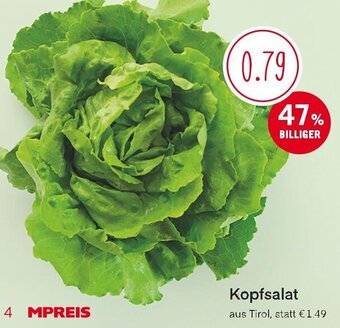 MPreis Kopfsalat Angebot