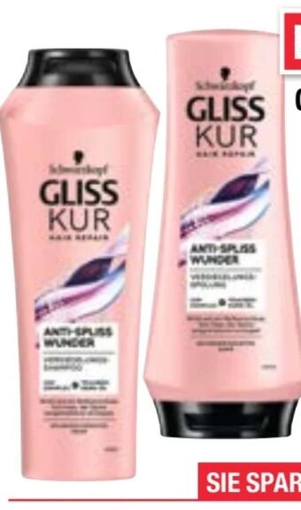 Maximarkt Gliss kur shampoo Angebot
