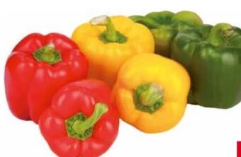 Transgourmet Bio paprika mix Angebot