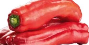 Transgourmet Spitze paprika Angebot