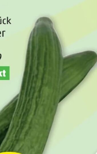 PENNY Gurken Angebot