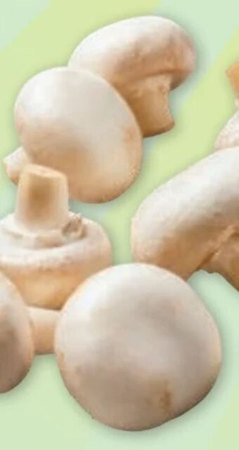 PENNY Champignons Angebot