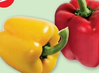 PENNY Paprika Angebot
