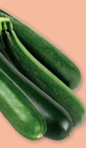 PENNY Zucchini Angebot