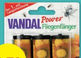 PENNY Power fliegenfänger Angebot