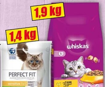 Norma Katzen-trockenfutter Angebot