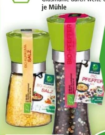 Norma Gewürzmühle Angebot