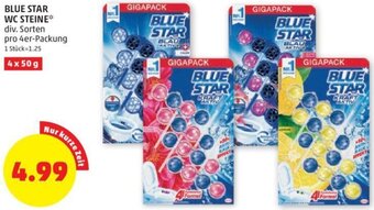 PENNY BLUE STAR WC STEINE* div. Sorten pro 4er-Packung Angebot