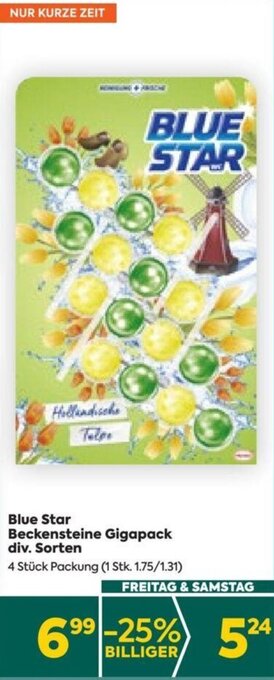 Billa Blue Star Beckensteine Gigapack div. Sorten 4 Stück Packung Angebot