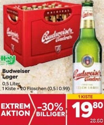 Billa Budweiser Lager 0,5 Liter Angebot