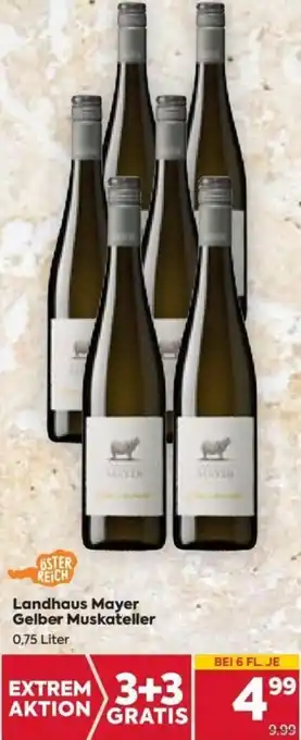 Billa Landhaus Mayer Gelber Muskateller 0,75 Liter Angebot