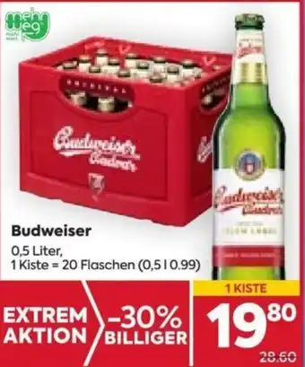 Billa Budweiser 0,5 Liter, 1 Kiste = 20 Flaschen (0,510.99) Angebot