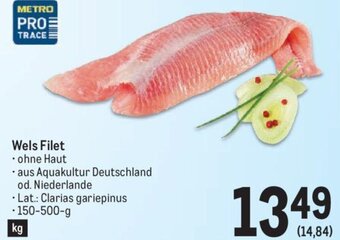 Metro Wels Filet 150-500-g Angebot