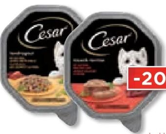 Unimarkt Hundenahrung schale Angebot