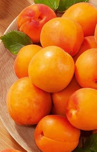 Spar Marillen Angebot