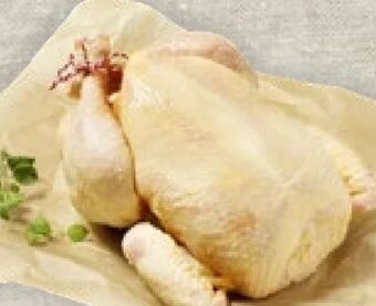 Billa Fair zum tier! hendlfilet Angebot