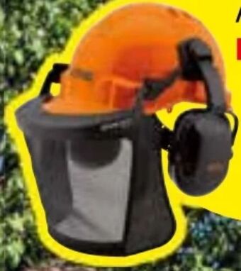 Zgonc Forstschutzhelm function basic Angebot