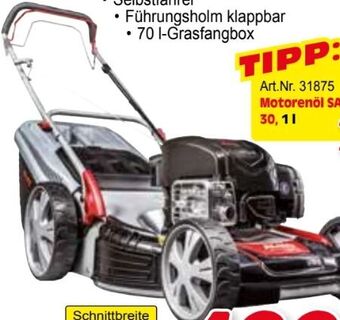 Zgonc Benzin-rasenmäher silver 525 br premium Angebot