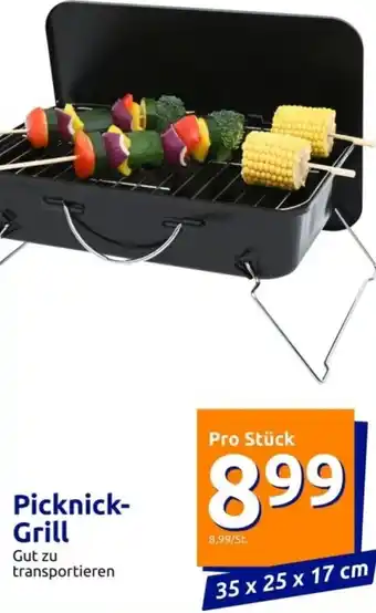 Action Picknick-Grill Gut zu transportieren 35 x 25 x 17 cm Angebot