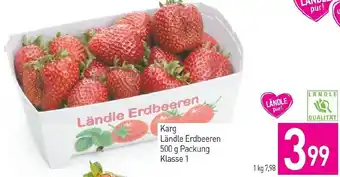 Sutterlüty Karg Ländle Erdbeeren 500 g Packung Klasse 1 Angebot