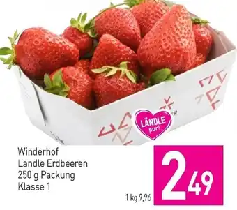 Sutterlüty Winderhof Ländle Erdbeeren 250 g Packung Klasse 1 Angebot