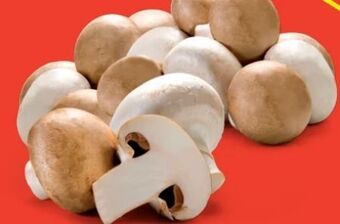 Hofer Champignons Angebot