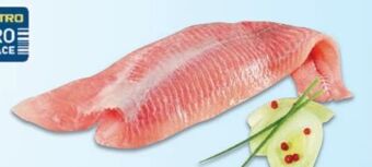 Metro Wels filet Angebot